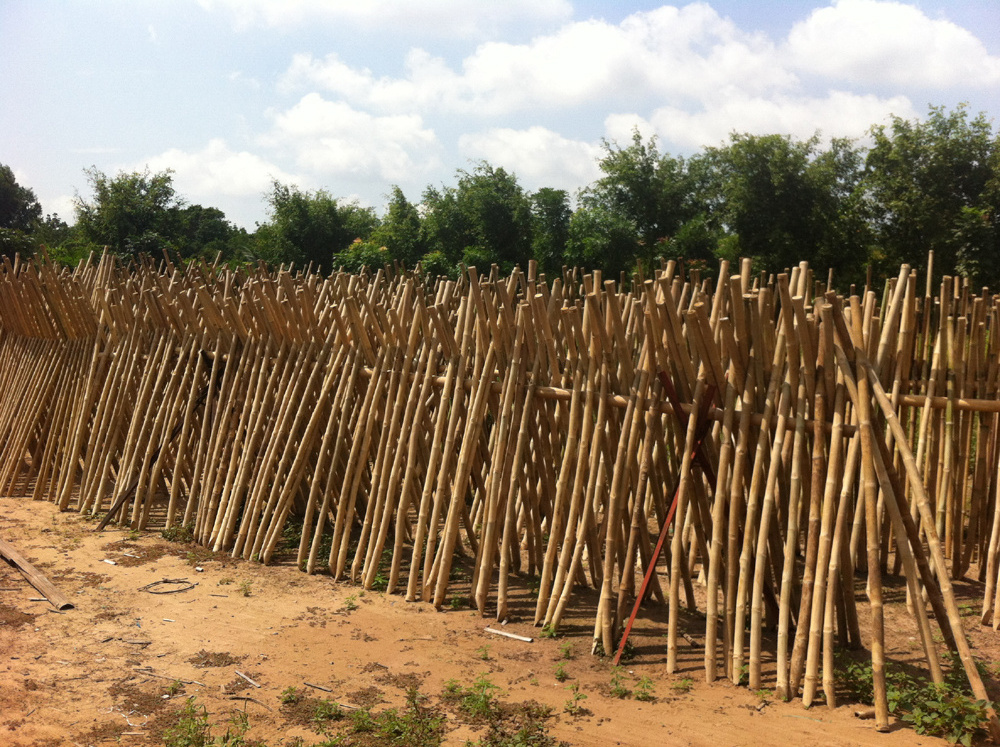 Tam Vong - Bamboo Fencing - Privacy Fence Panel Roll