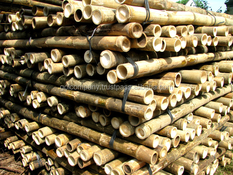 [wholesale] Bamboo raw materials - Natural Tam Vong bamboo pole solid / Bamboo thatch/ bamboo roll/