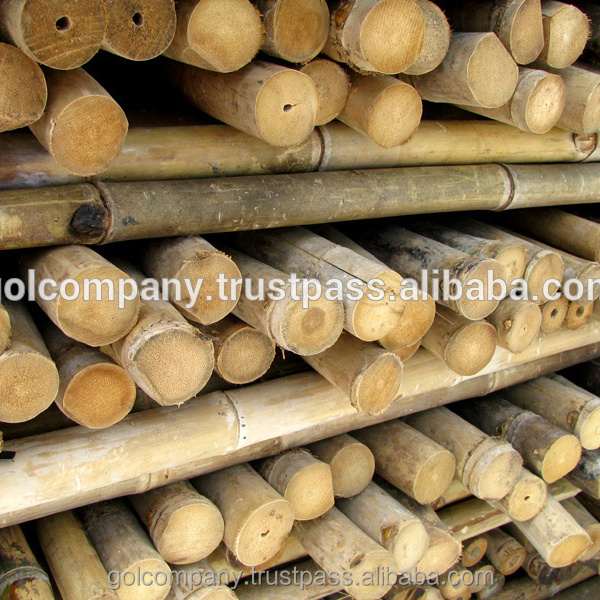 [wholesale] Bamboo raw materials - Natural Tam Vong bamboo pole solid / Bamboo thatch/ bamboo roll/