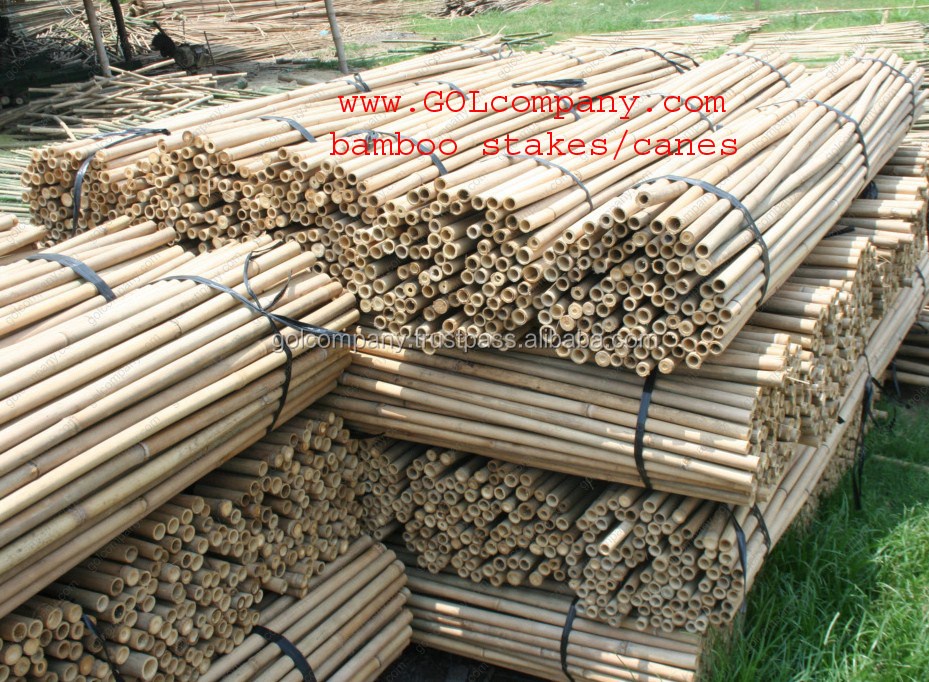 [wholesale] Bamboo raw materials - Natural Tam Vong bamboo pole solid / Bamboo thatch/ bamboo roll/