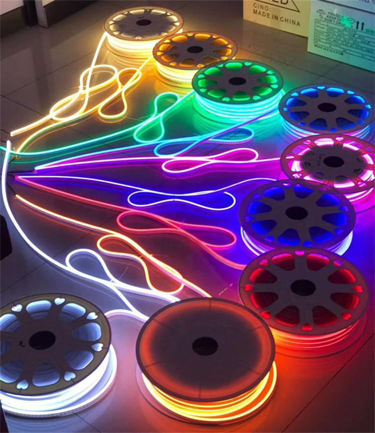 On sale 5M 50M 6x12mm 8x16mm neon light DC12V 24V AC110V 220V Single Color rgb neon strip Silicone pvc led flex neon sign light