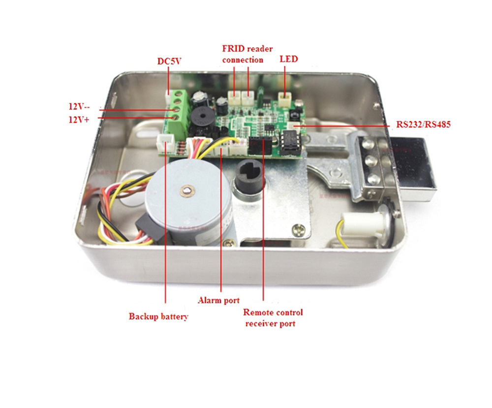 Manufacturers Wholesale Stainless Steel Latch Brushed Double Cylinder Electric Rim Lock with Key