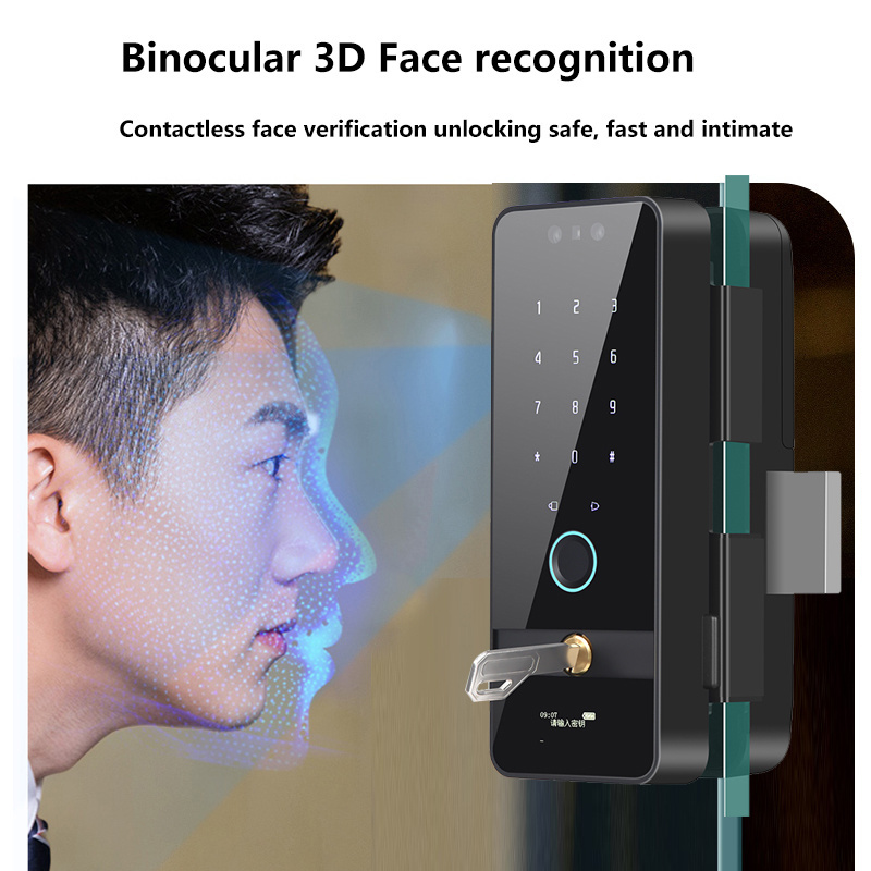 Intelligent Home Electronic Glass Door Lock Face ID Wifi Tuya App Fingerprint Password Digital Keypad Smart Door Lock