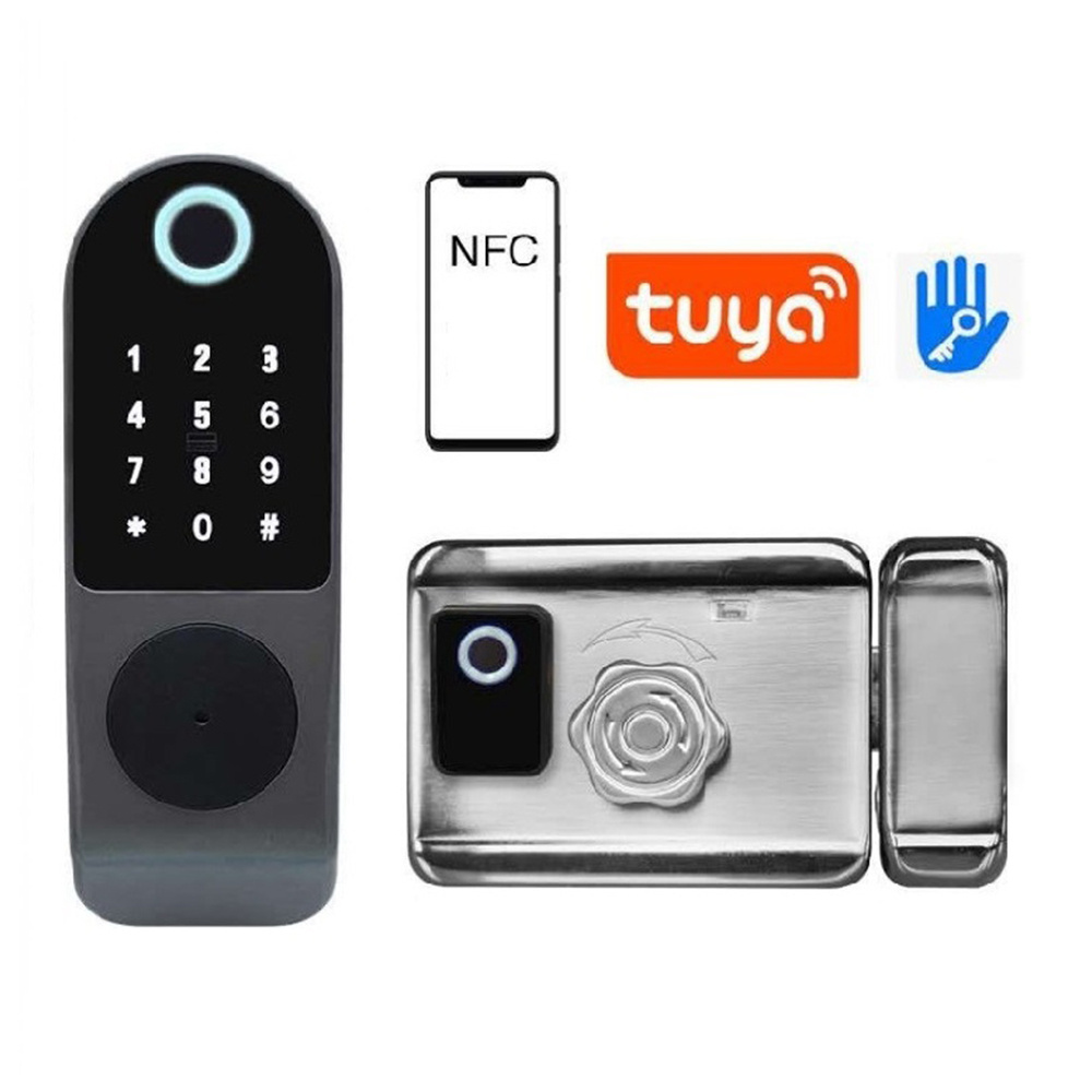 Electric Door Rfid Smart Digital Locks Panel Fingerprint Cabinets Glass File With Electric Hook 12V Latch Tuya Cabinet Loock