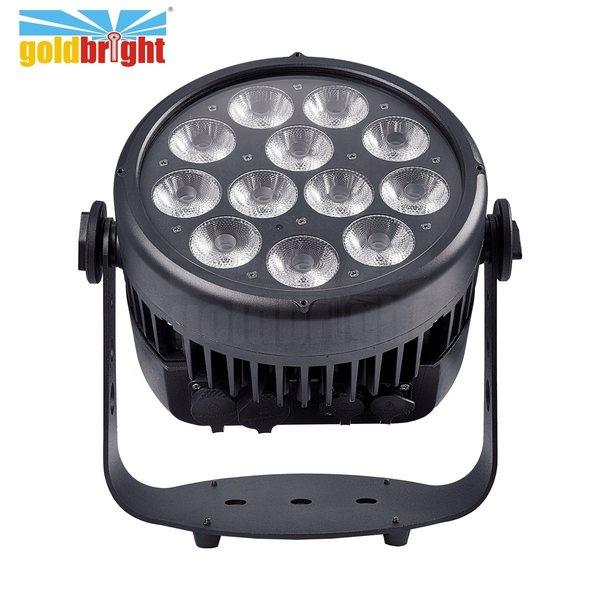 IP65 Par light 12x10W Rgbwa uv 6in1 LED Outdoor Par Can light 2.4G Wireless DMX512 Waterproof Dj Par for Hotel building