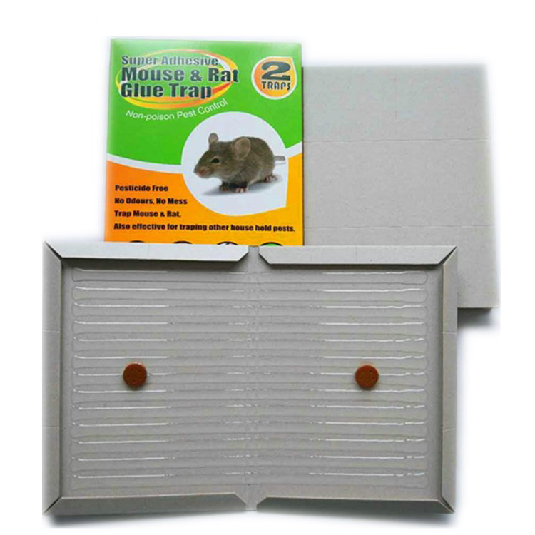 wholesale mouse glue trap strong mouse traps