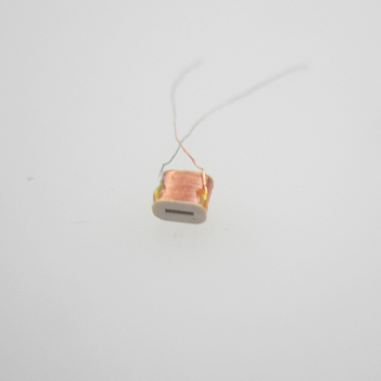 Hearing Aids Miniature Electromagnets Induction Coil