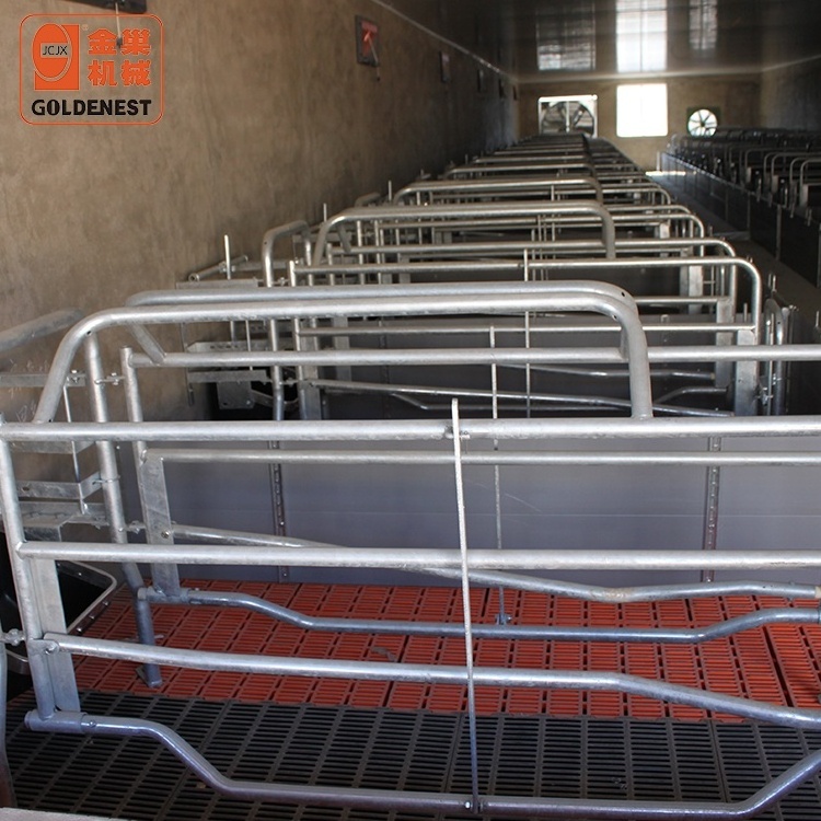 Pig farm equipment double or single farrowing crates used for sows