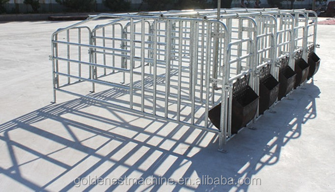 Goldenest Piggery Gestation Crate for pigs Galvanized single stall for sows