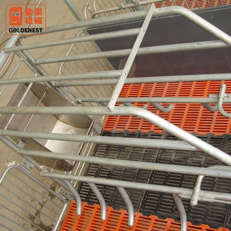 New Style and High Quality Pig Farrowing Crate for Poultry Farming