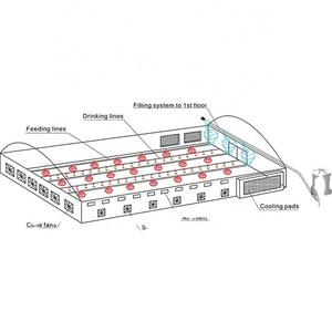 Chicken Farming Equipment and Poultry Control Shed Equipment/Broiler Feeding System and Ventilation System