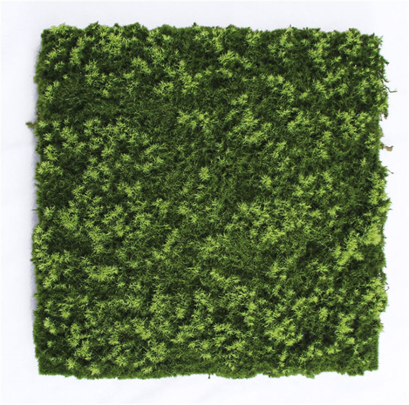 New Design Landscaping Decoration 3d Artificial Moss Plant Panels Moss Grass Carpet Plant Rug Turf Artificial Grass Wall