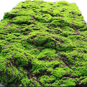 QSLH-SY0127 Wholesale Artifical Green Moss Grass Wall Artificial Moss Rocks Decorative Preserved Moss Set Green For Decoration