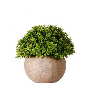 QSLH-PE001 Green Decorations Artificial Plastic Mini Plant Pots