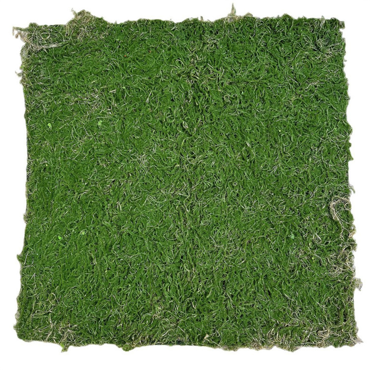 Realistic Moss Green Grass Wall Decor Landscape Vertical Plants Carpet Turf Backdrop 1m Artificial Grass Wall Panels For Party