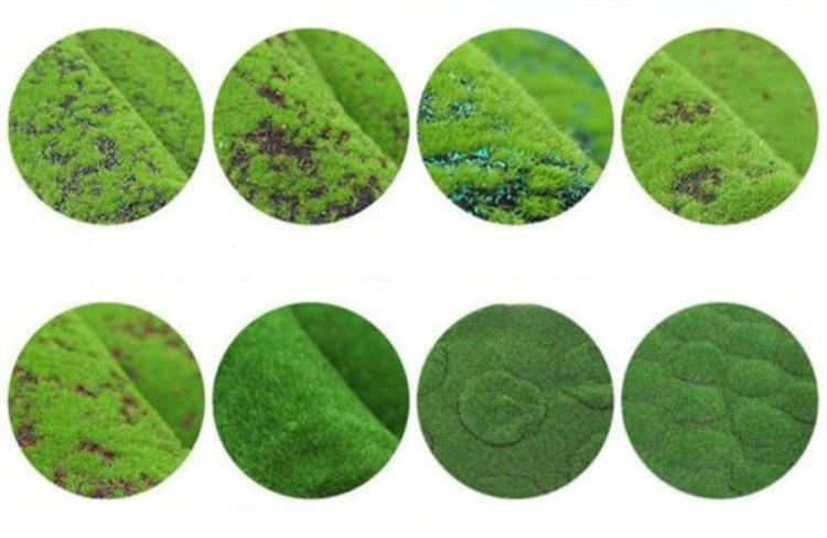 Green Lichen 3d Grass Wall Backdrop Turf Spanish Moss Wall Panel Sphagnum Plant Panel Moss Grass Wall For Floor Landscaping