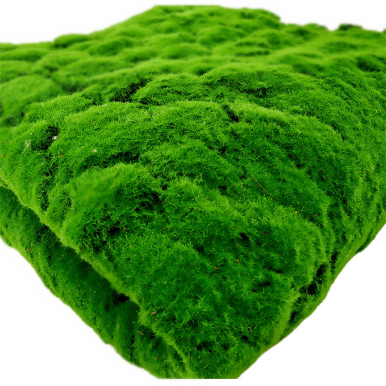 High Quality 3d Moss Wall Carpet Turf Landscape Diy Moss Wall Panel Green Artificial Grass Wall For Party Event Backdrop