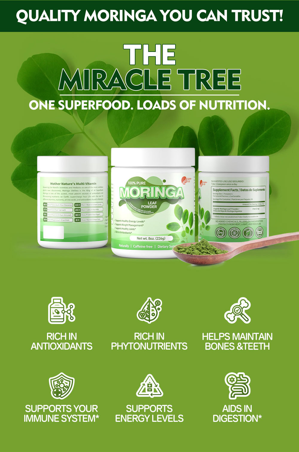 factory supply  organic moringa powder extract protein supplement provide nourishment  moringa leaves powder for body