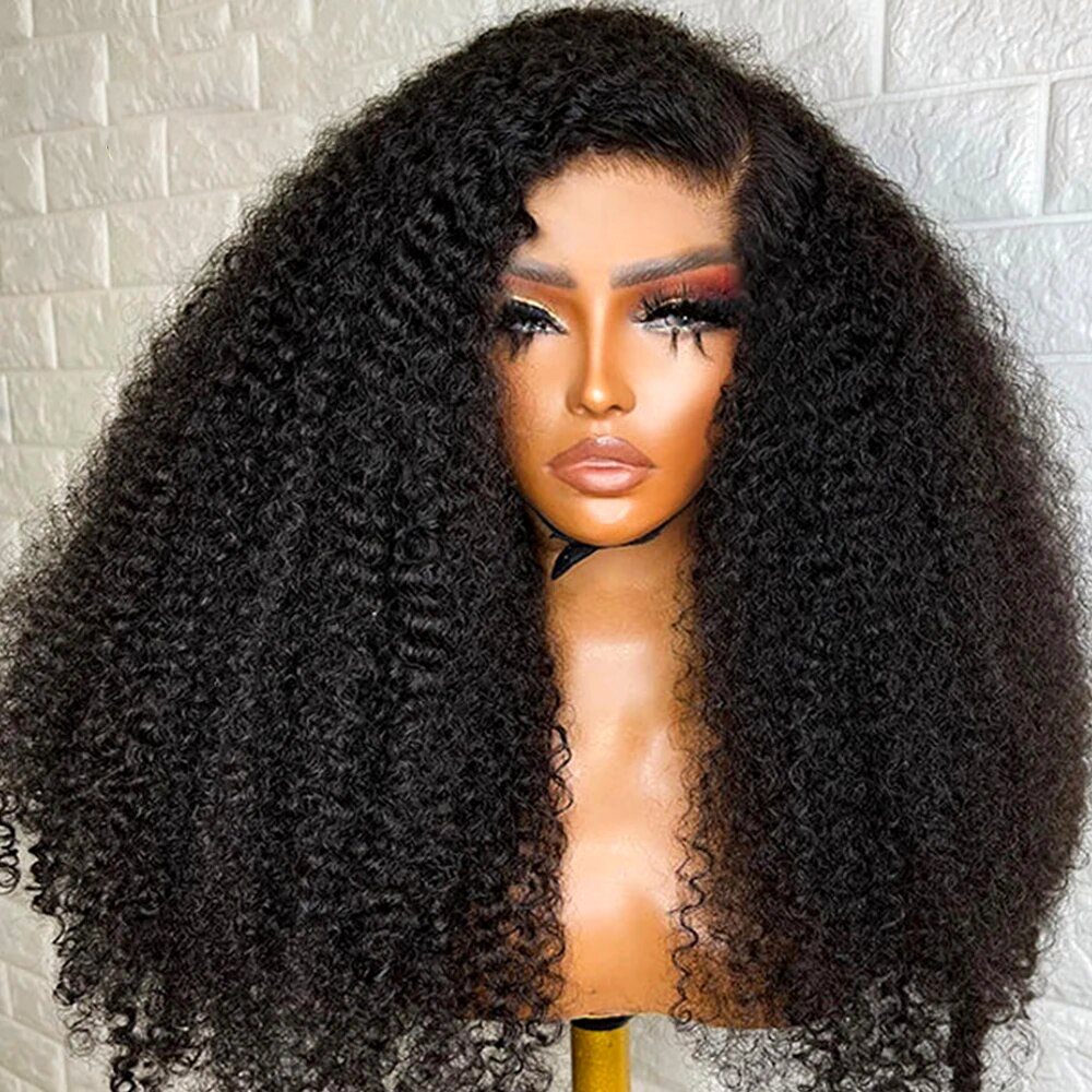 Indian Afro Kinky Curly Human Hair Wigs For Black Women Wholesale Cheap Wigs 13X4 HD Raw Indian Temple Hair Wig