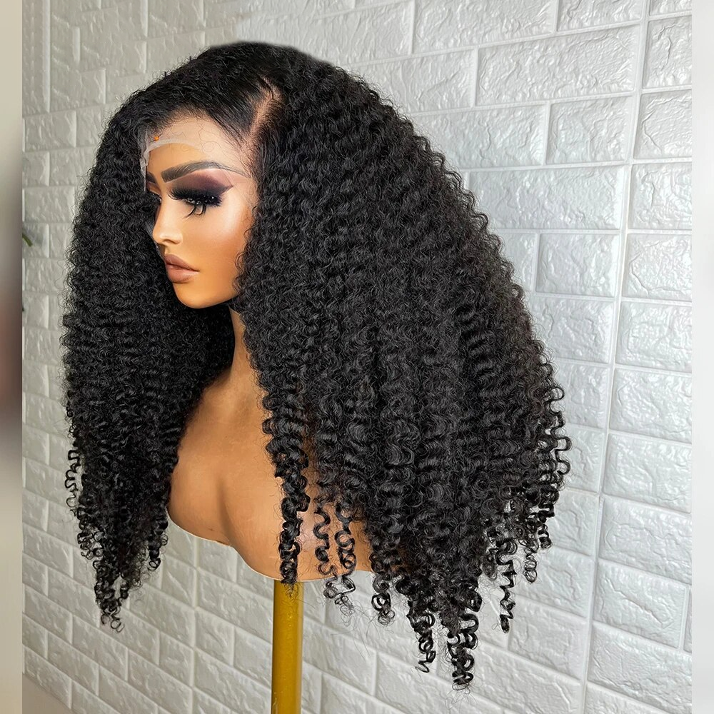 Indian Afro Kinky Curly Human Hair Wigs For Black Women Wholesale Cheap Wigs 13X4 HD Raw Indian Temple Hair Wig