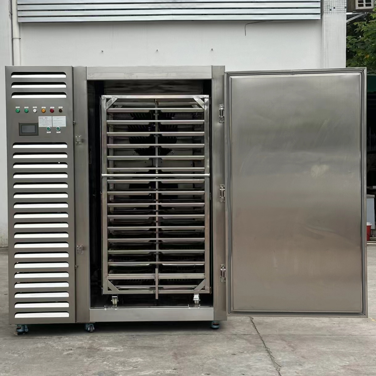 High Quality commercial fast freezer Liquid nitrogen quick freezing machine