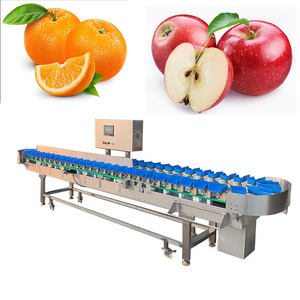 Automatic candy  mushroom chicken meat shrimp fish  crab Oysters conch sea food grader weight sorting machine