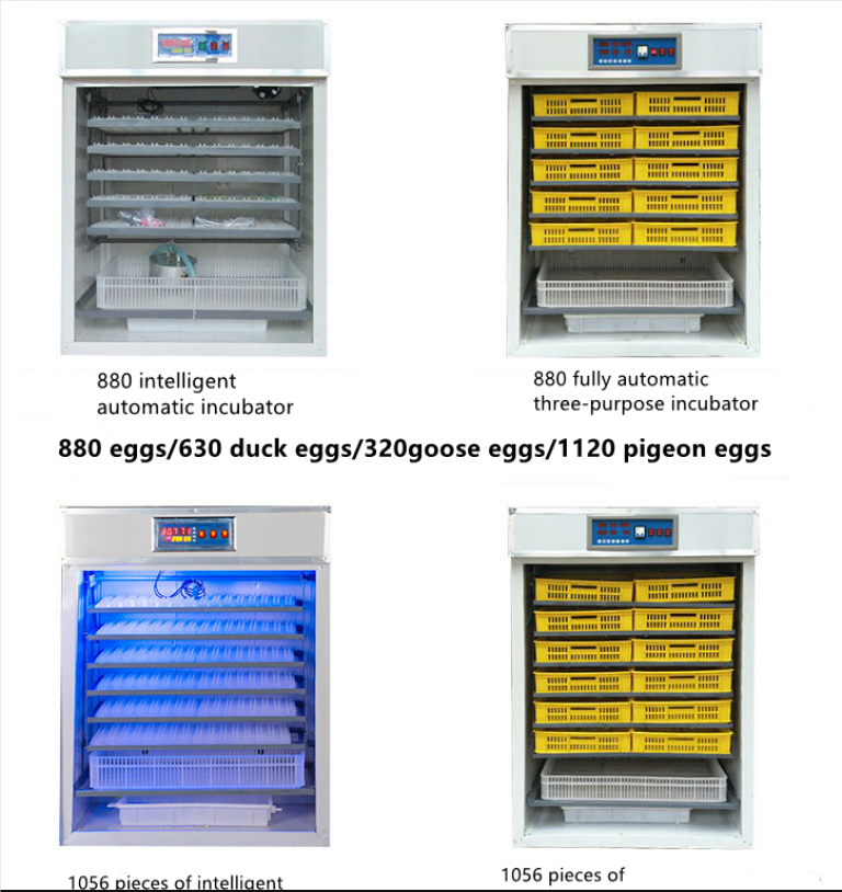 incubator egg hatching machine/popular commercial egg incubator/incubator for eggs