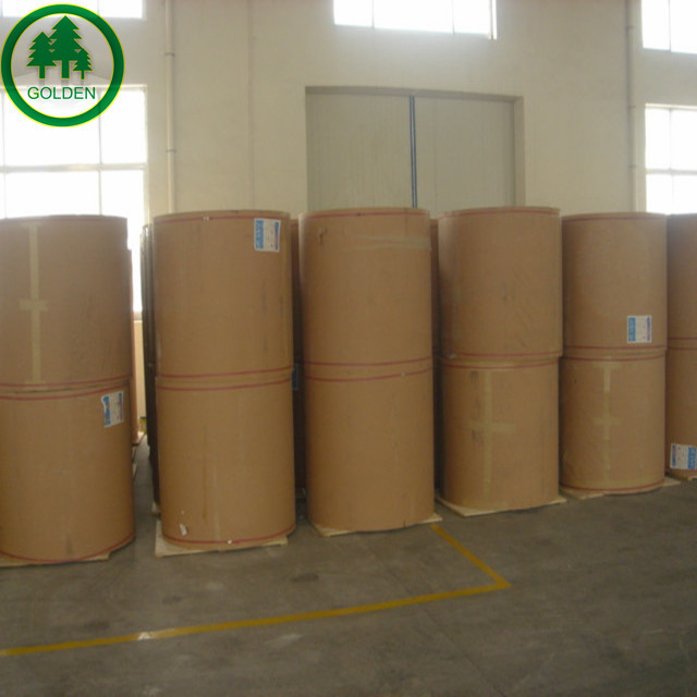 white cardboard paper/FBB/GC2/SBS Coated Bleached Folding board box