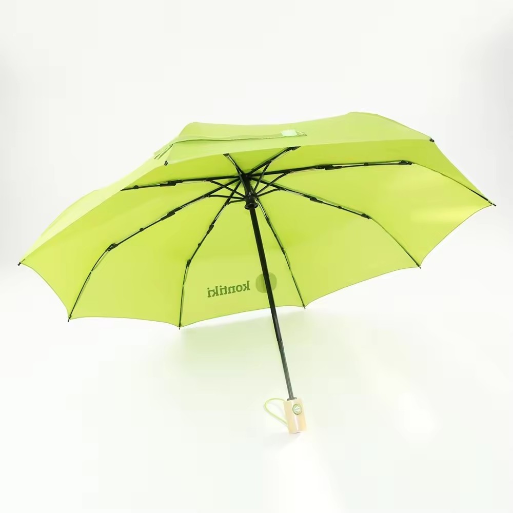 Custom Auto Open and Close Eco Environment Friendly Recycled PET Renewable Fabric Umbrella