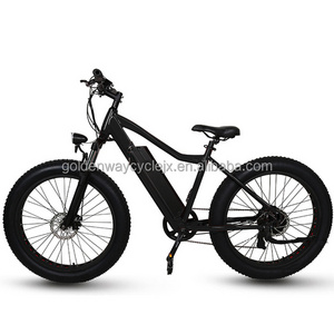 2017 Most Fashion Electric Fat Tire Bike 48V 350W Beach Cruiser snow electric bike