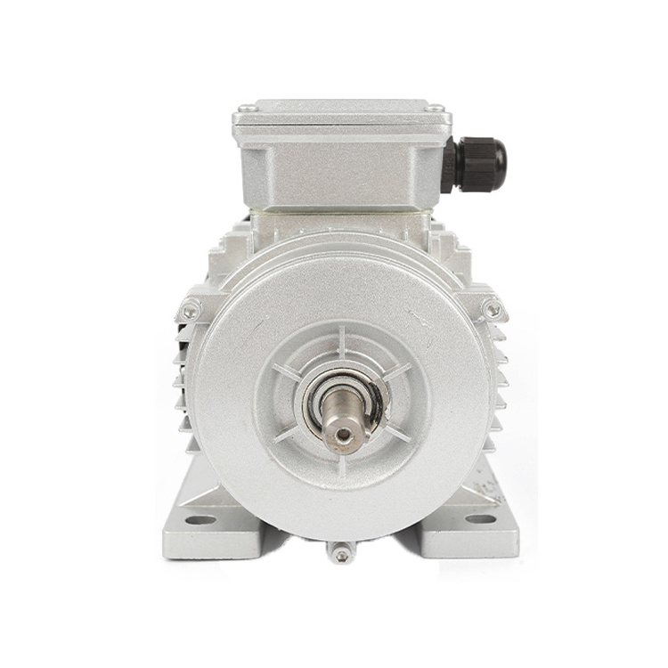 YE2 80M2 4 0.75kw three phase electric motor