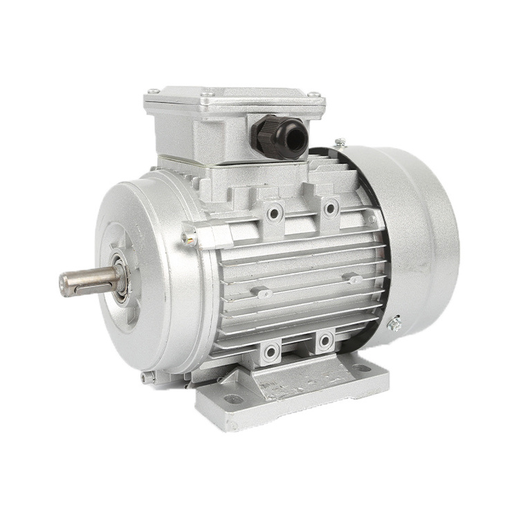 YE2 80M2 4 0.75kw three phase electric motor