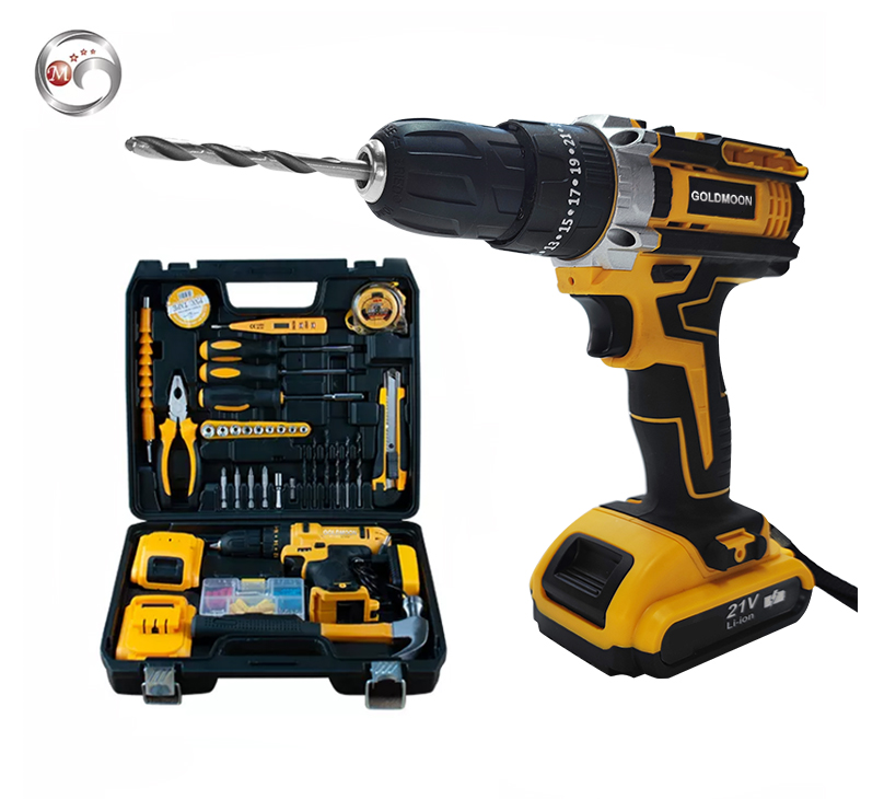 GOLDMOON Wholesale Price Power Tools 220W Electric Drill With Forward and Reverse Rotation