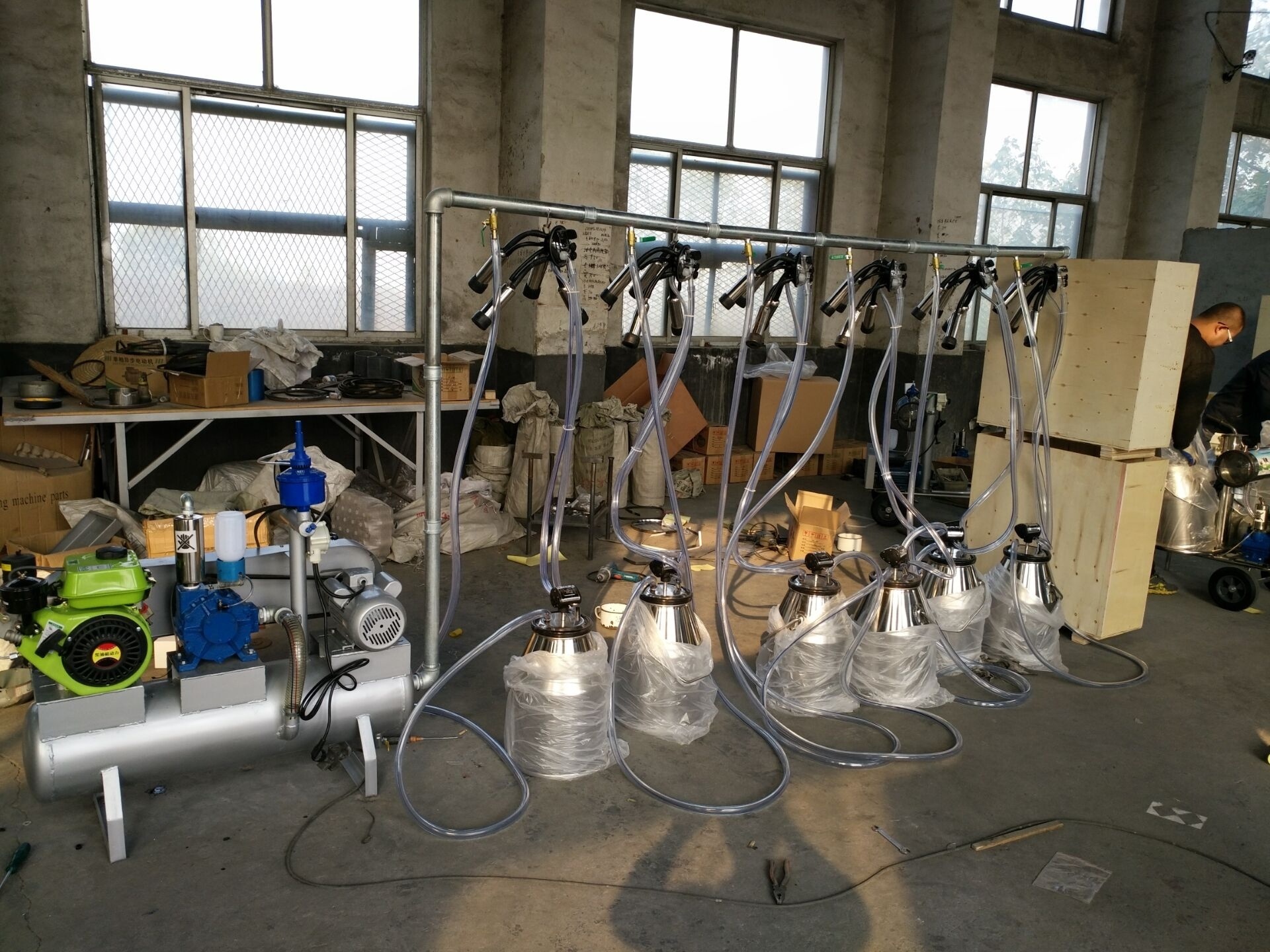 SS 304 vacuum pump different cows goats positions customization electric gasoline pail parlor milking machine