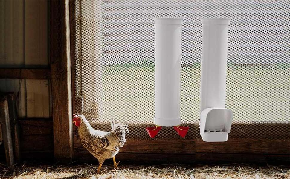 Large Chicken feeder Triple pack & Automatic Waterer PH-259