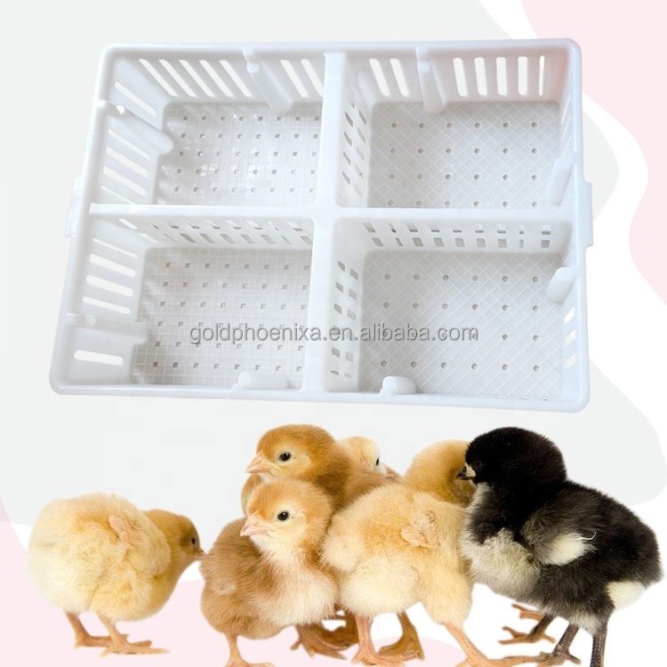 YYC PH194 plastic four parts four part quail pigeon chicken transport crates chicks transport cage