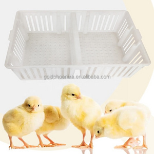 YYC PH193 poultry carrier chicken transport crates quail pigeon chick transport boxes