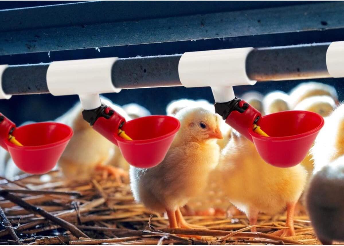 Automatic Poultry Drinking Cups-6 Pack Chicken Waterer Drinking Cups and 6 Pack Chicken Waterer PVC Tee Fittings for Chick PH-20