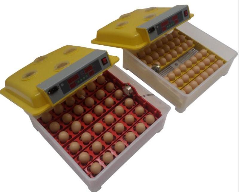 48 Egg Automatic Incubator