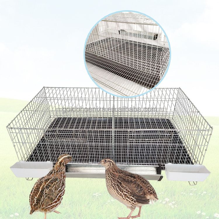 home use automatic feces clearing and egg rolling chick quail breeding cage with feeder and drinker