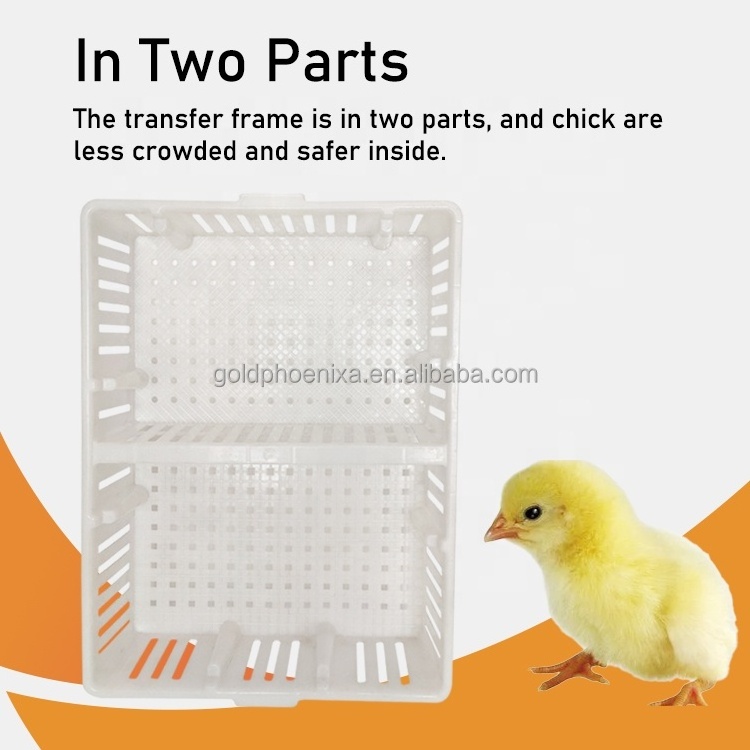 YYC PH193 poultry carrier chicken transport crates quail pigeon chick transport boxes