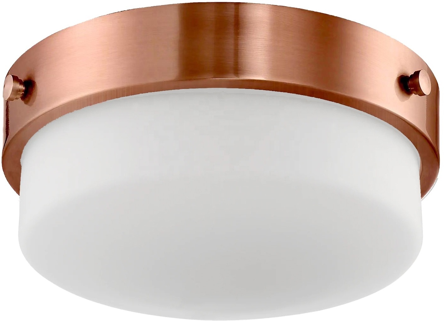 Flush mount  lamp E26 led ceiling lights glass shade for home hotel satin nickel 12in energy conservation