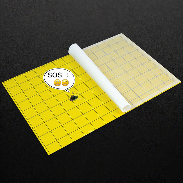 Pheromone Insect Sticky Trap Pest Control Flies Killer Trap Glue Board  600*215mm Yellow Fruit Fly Catcher