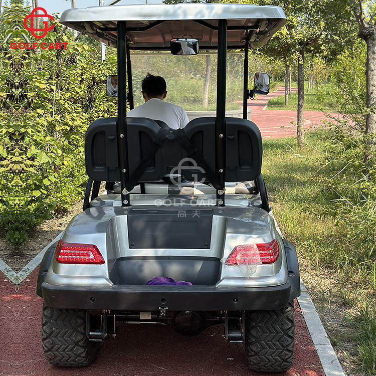 China Manufacture Hunting Golf Carts Farm Used Golf Cart Gas With Professional Meter Club Golf Cars Buggies