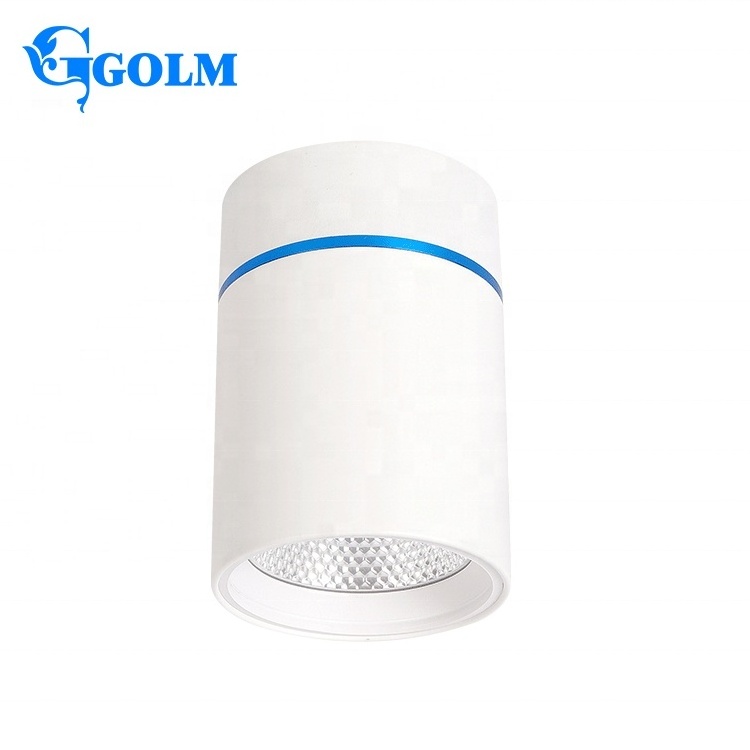 Commercial Downlight White Ceiling Mount Downlights Surface Mounted Cob Led Downlight Cylinder Led Down Light