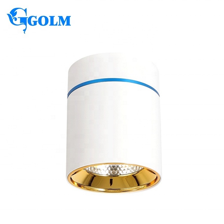 Commercial Downlight White Ceiling Mount Downlights Surface Mounted Cob Led Downlight Cylinder Led Down Light