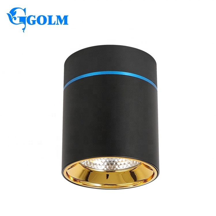 Commercial Downlight White Ceiling Mount Downlights Surface Mounted Cob Led Downlight Cylinder Led Down Light