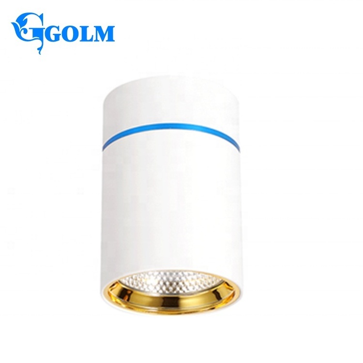 Commercial Downlight White Ceiling Mount Downlights Surface Mounted Cob Led Downlight Cylinder Led Down Light