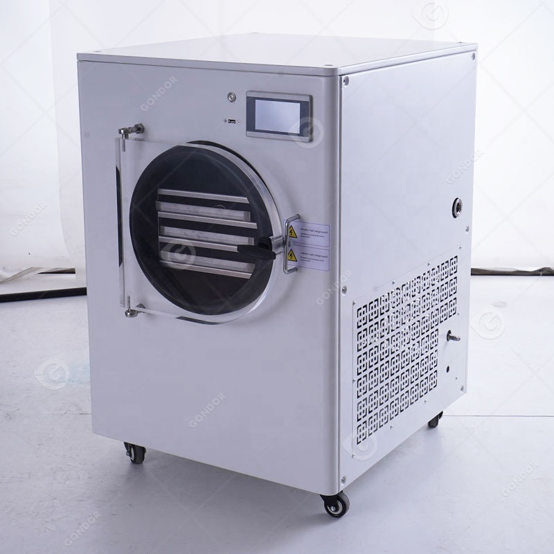 Delta Dry Dried Foods Machine Home Use Small Pump 10 Sqm Lyophilizer Vacuum Freeze Dryer for Food Herb Tea Fruit