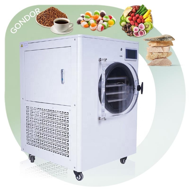 Maker Small Lyophilizer Liquid Dryer Food Vacuum Freezing Drying Machine Portable to Freeze Dry